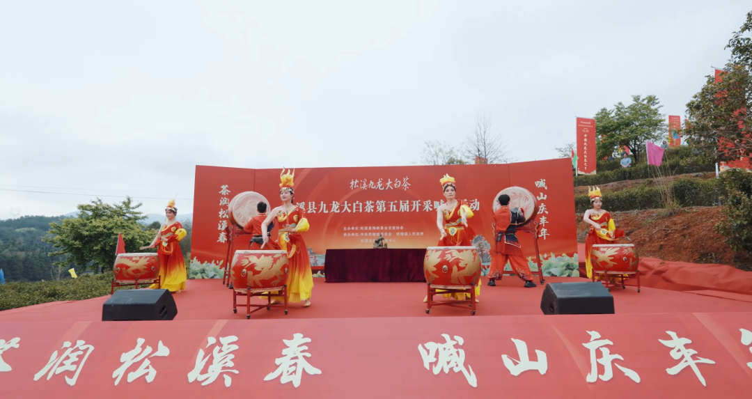 松溪县举办第五届九龙大白茶开采喊山活动