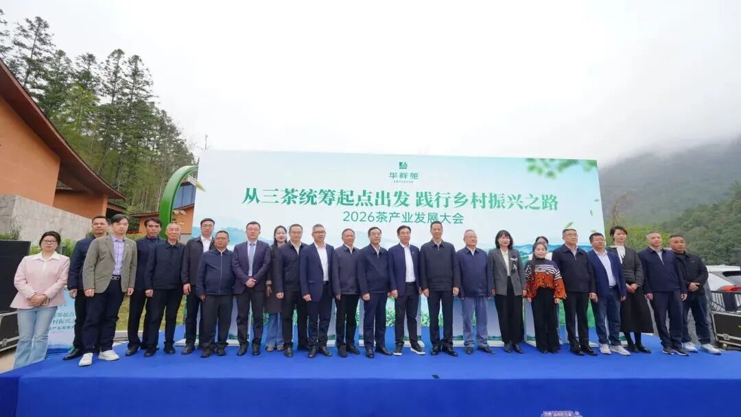 十大茶产区代表共聚武夷山燕子窠 为茶产业未来发声