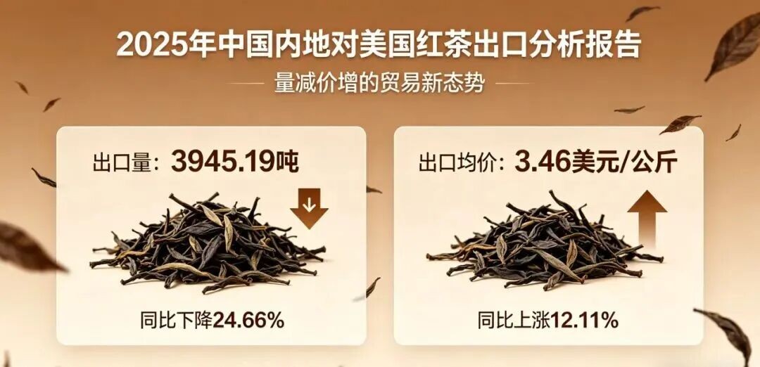 2025年中国红茶对美国出口数据出炉