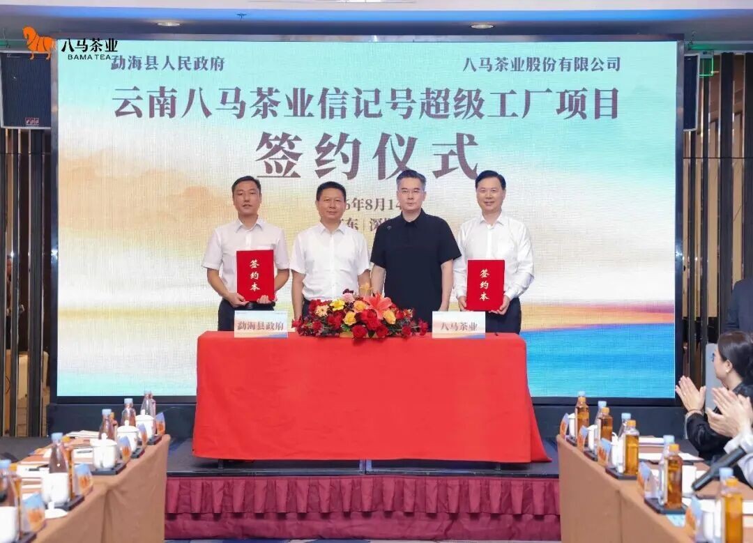 八马茶业15天三大举措——深圳速度照进勐海