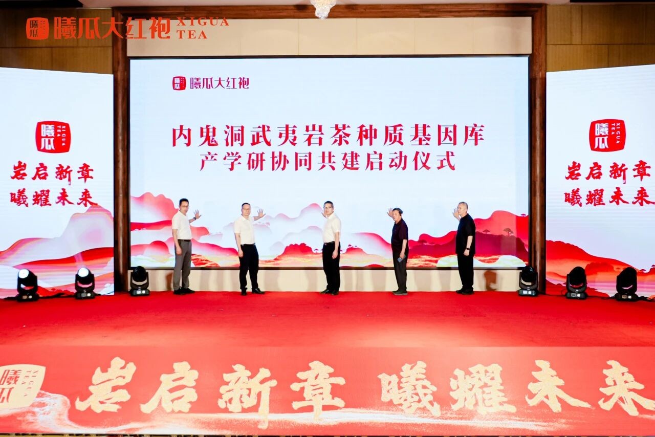 “岩起新章 曦耀未来”武夷岩茶内鬼洞种质基因库研讨会暨曦瓜大红袍品牌发展大会举办