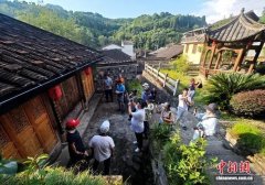 一片茶叶富了一个村 海外华媒探访“坦洋工夫”红茶发源地