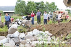 两印加身防“李鬼” 武夷山大红袍启用双标识防伪