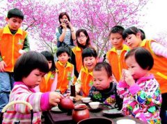 台一两岁女童喜泡茶 架式不输专业茶师
