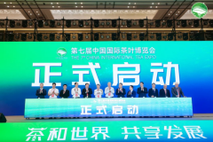 第七届中国国际茶叶博览会在杭州启幕
