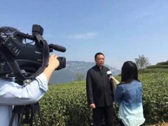 4月3日新闻频道朝闻天下的清明特别节目