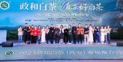 2023政和白茶（西安）专场推介会活动举办