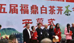 “中国白茶之乡”--福鼎举办第五届福鼎白茶开茶节