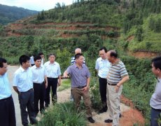 张家坤会长到福建武平县调研