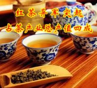 红茶异军突起占茶产业总产值四成