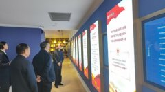 2025年党支部学习、主题党日、活动集锦