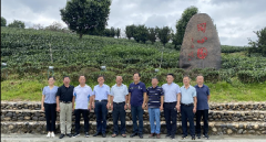 王星云副会长一行赴龙岩市开展调研工作