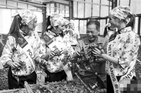 国际旅游小姐进茶庄感受中国茶文化
