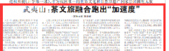 武夷山：茶文旅融合跑出“加速度”