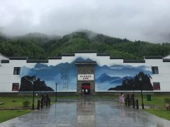 武夷山坑口村：从“红军茶”到“共富茶”