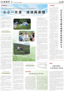 漳平：小小一片茶 浓浓两岸情