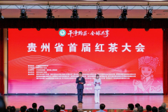 贵州省首届红茶大会举办