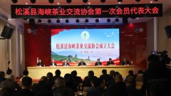 松溪县海峡茶业交流协会成立大会召开