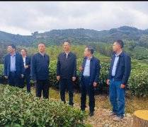 林钟乐会长一行赴小桥镇开展调研工作